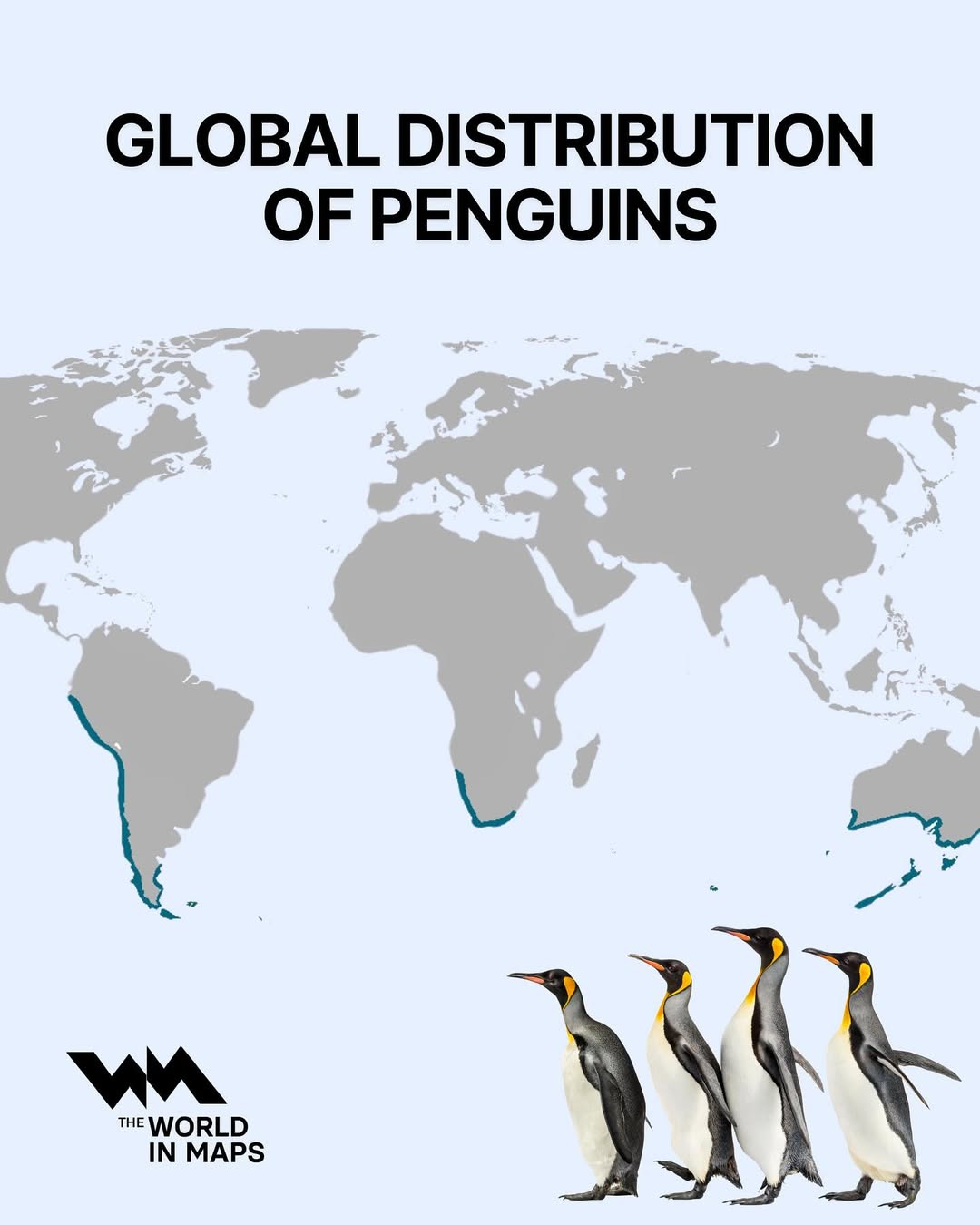 Map shows the global distribution of penguins  and it might surprise you! While many people thin
