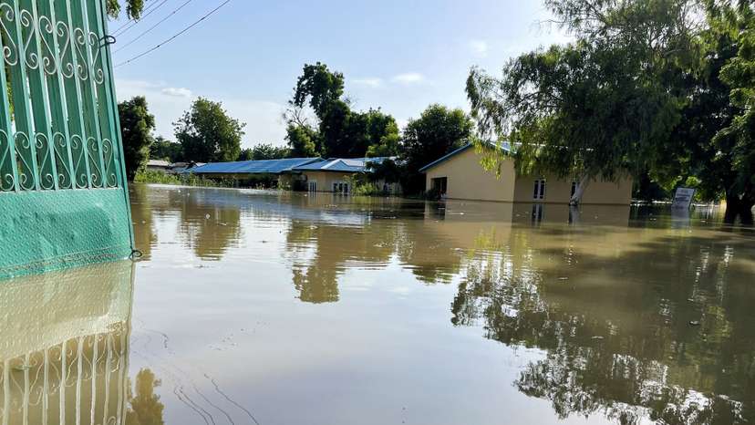 Floods decimate Nigerian zoo, wash crocodiles into community, in Maiduguri