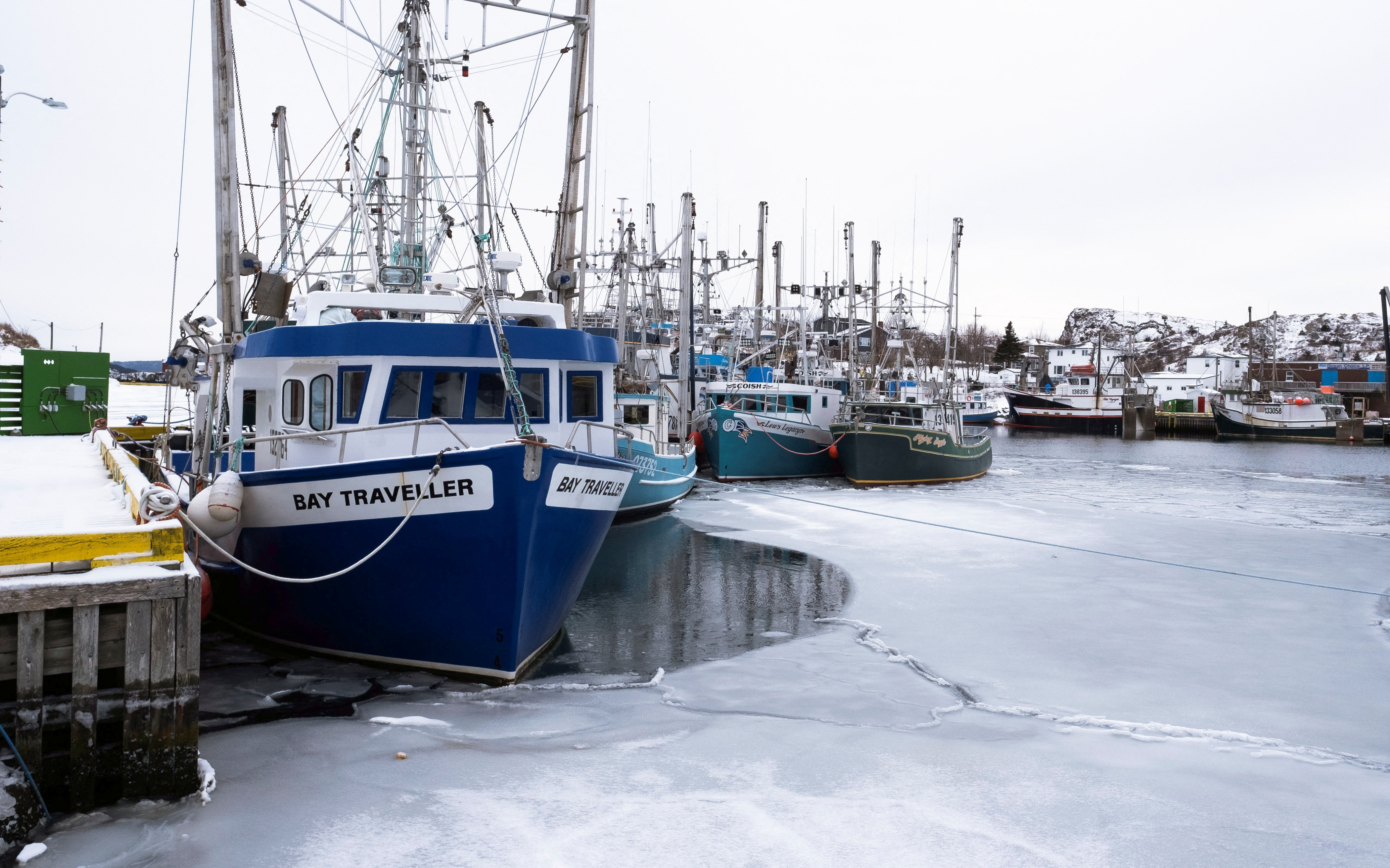 Fishing industry in Canada at risk after tariffs imposed by the U.S.