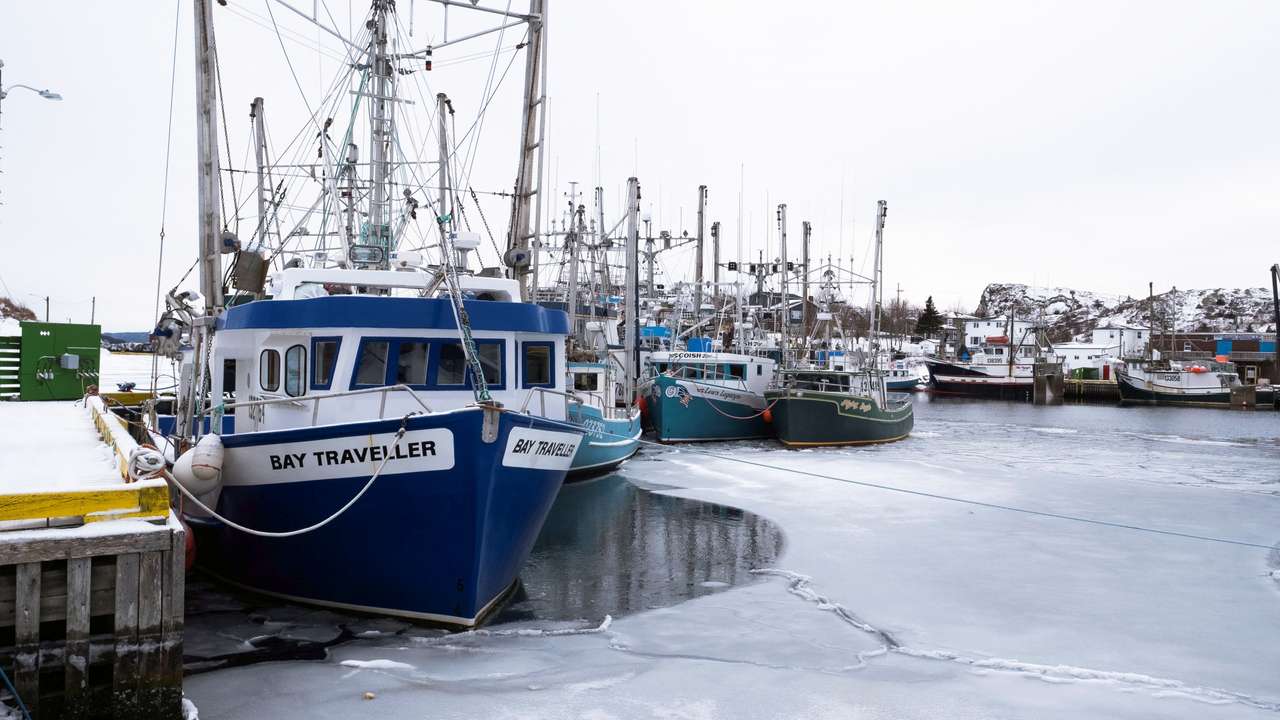 Fishing industry in Canada at risk after tariffs imposed by the U.S.