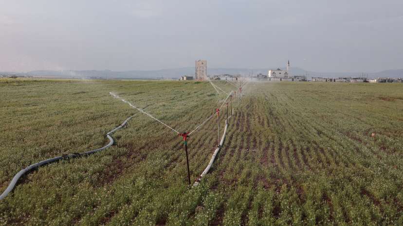 A view shows a farmland being irrigated as Syria experiences low rainfall, in Aleppo countryside