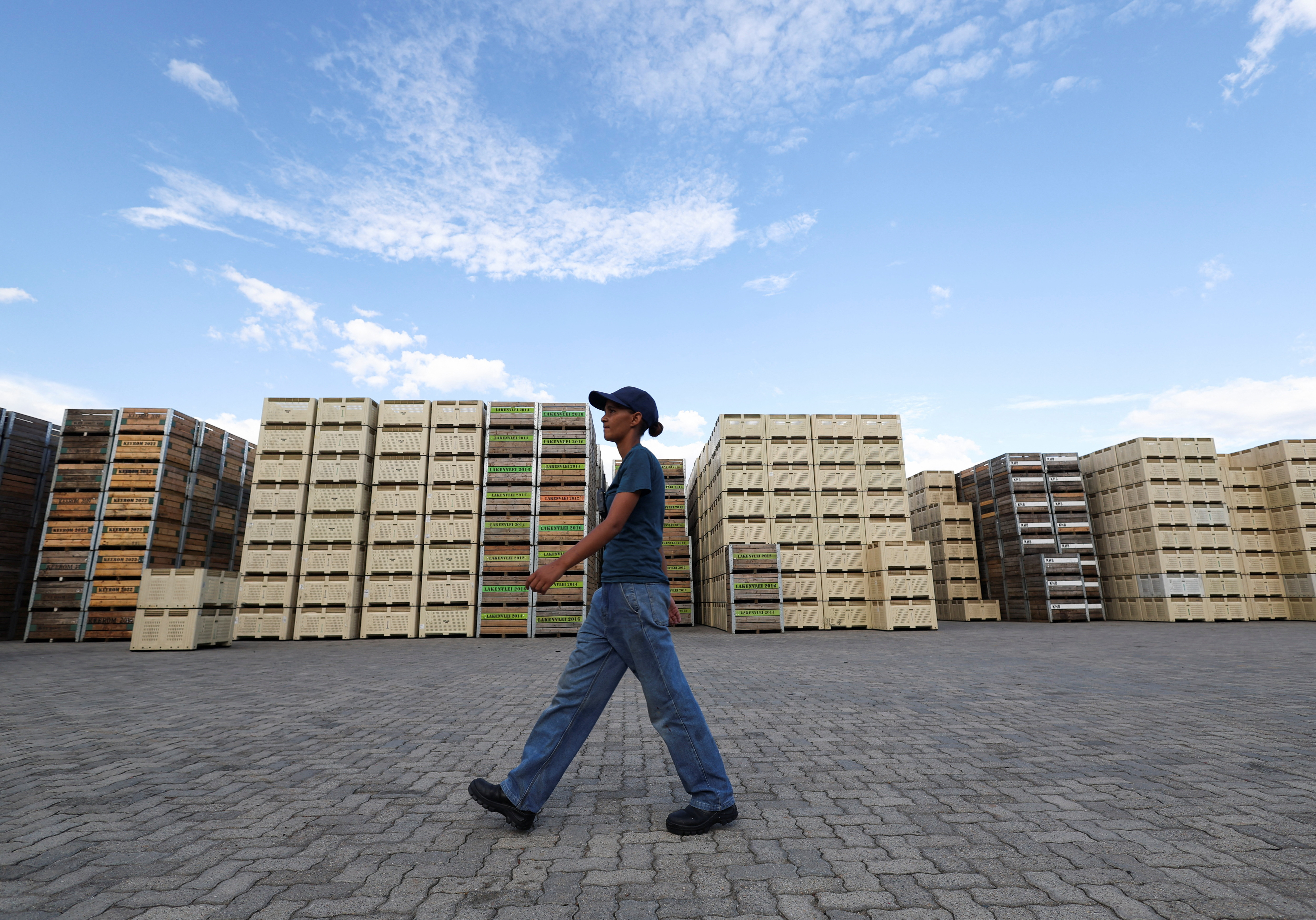 FILE PHOTO: A worker walks past fruit bins in Ceres, South Africa
