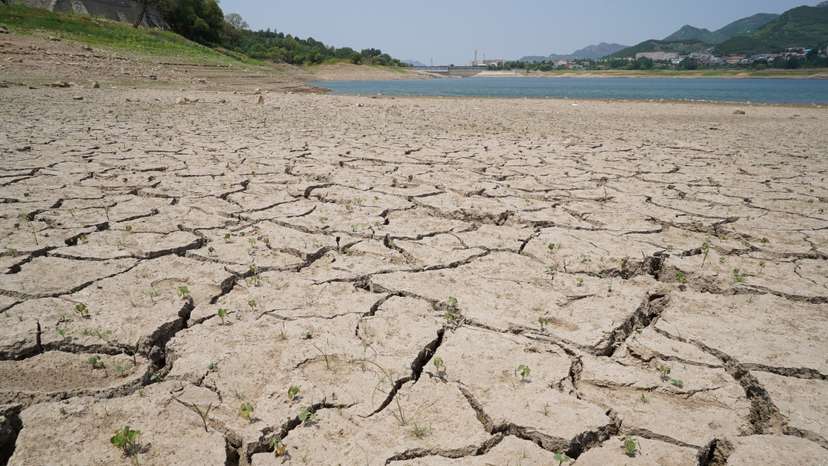 Heatwave and drought in Jinan