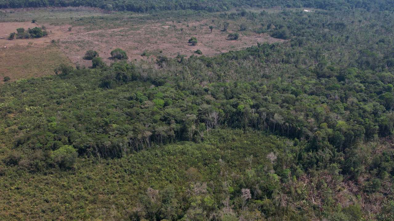 A drone view shows a deforested plot of Brazil's Amazon rainforest in the municipality of Humaita