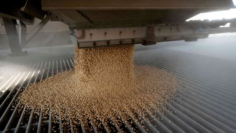 FILE PHOTO: US soybeans