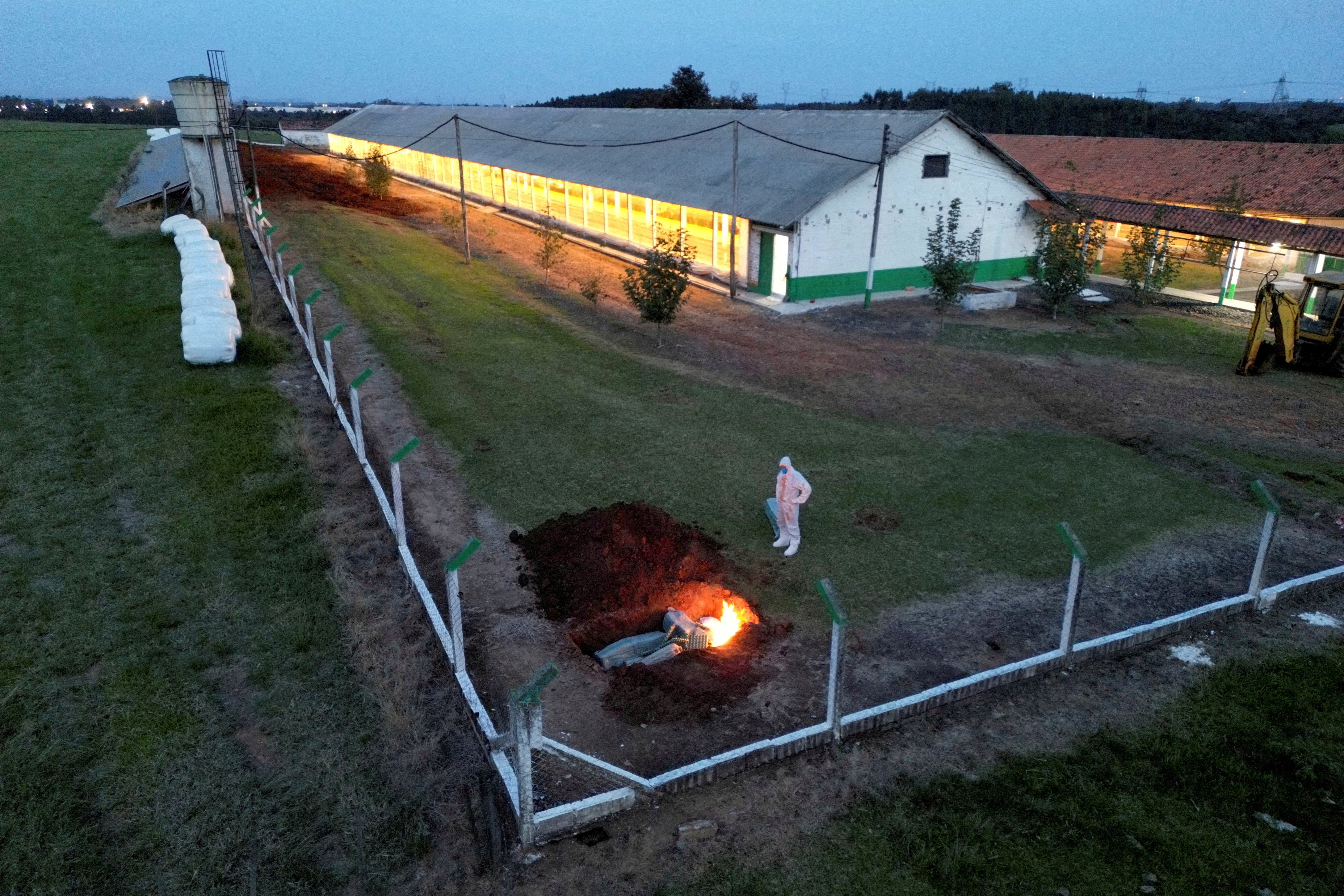 FILE PHOTO: Bird flu on farm in  top chicken exporter Brazil