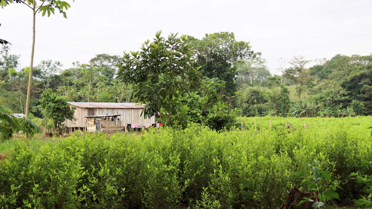 FILE PHOTO: Sign of the Social Pact for Catatumbo, in Tibu