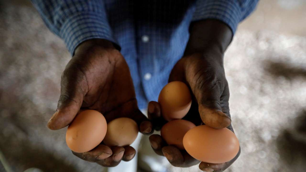 Classroom converted into poultry house in Wang'uru