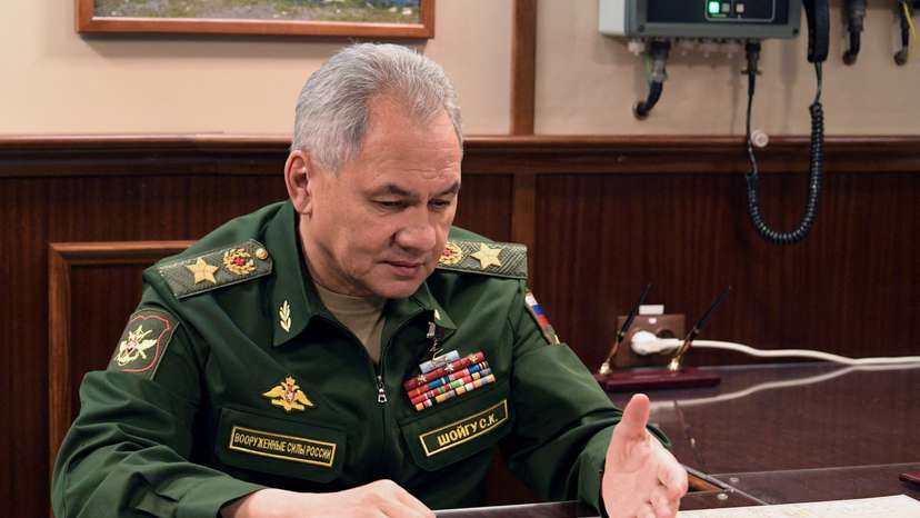 FILE PHOTO: Russia's President Putin and Defence Minister Shoigu meet in St Petersburg