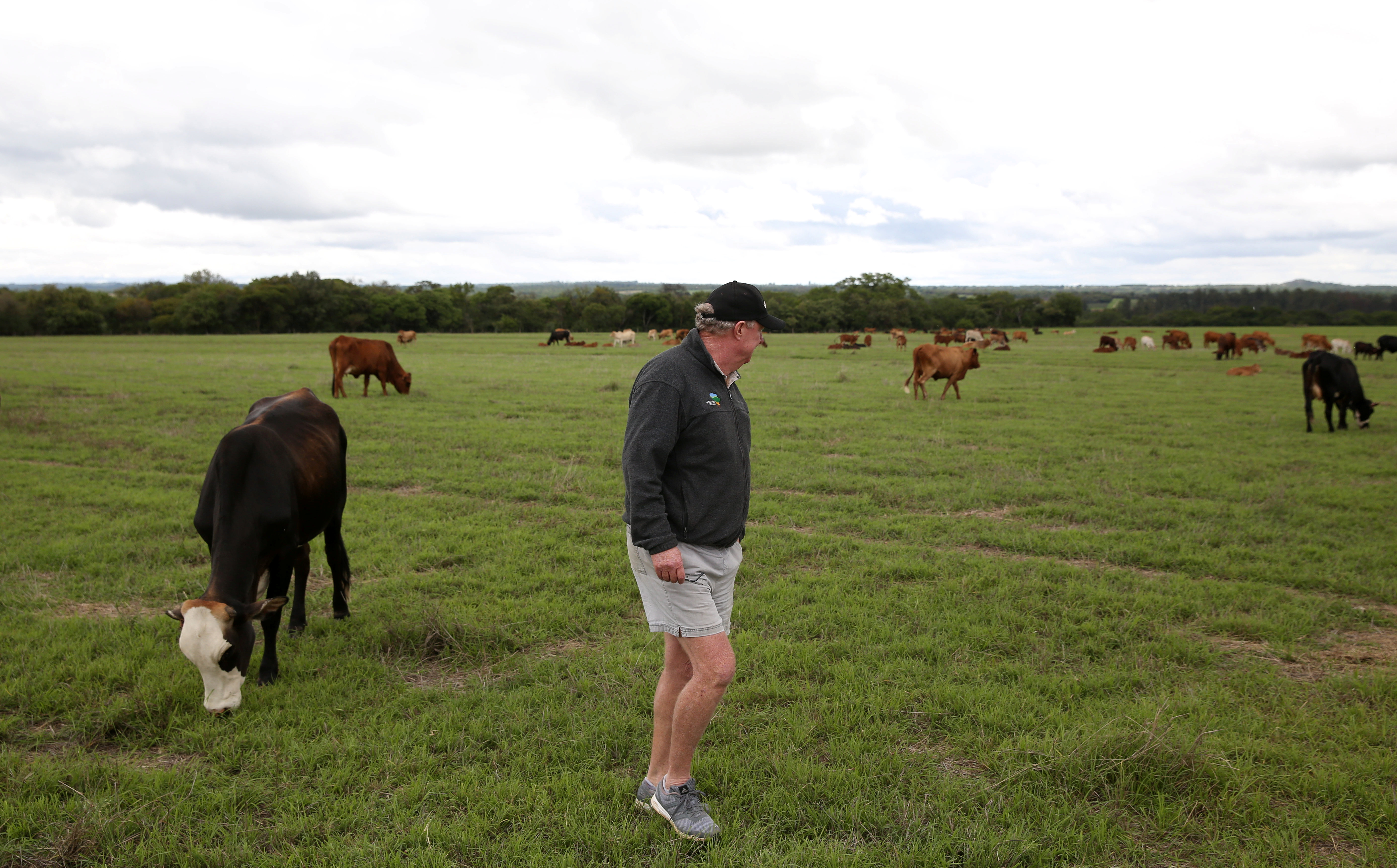 Dave Worswick, a farm owner, looks at his cattle in Dormervale farm east of Harare
