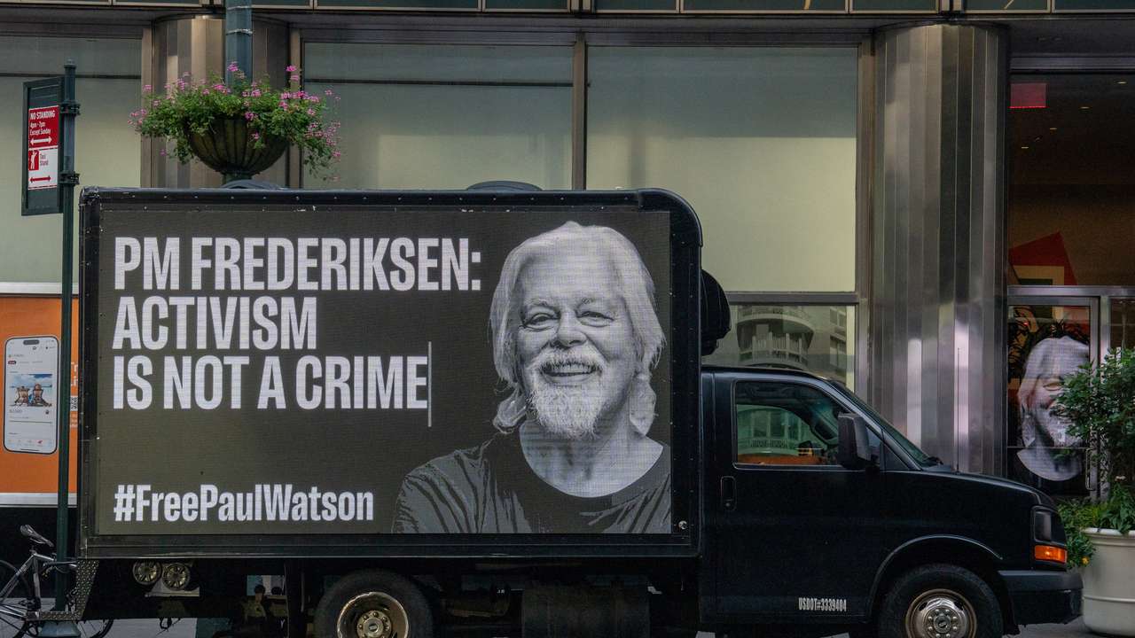 Trucks with digital billboards displaying a photo of Paul Watson and calling for his release