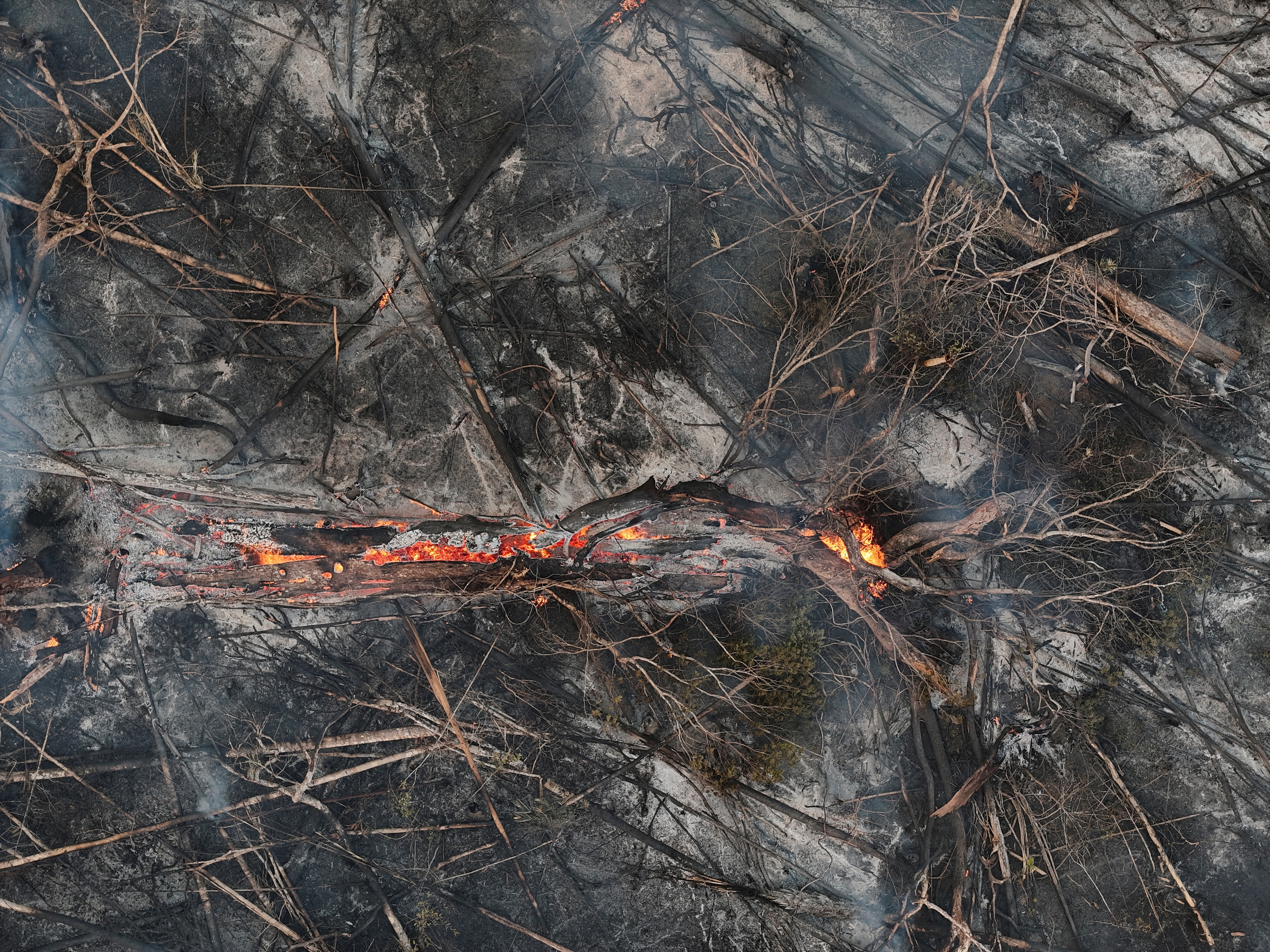 FILE PHOTO: Forest fires in the Amazon