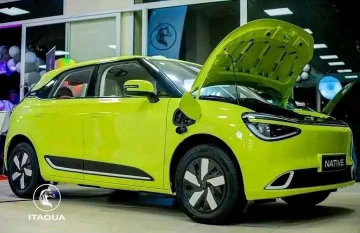 Burkina Faso electric vehicle