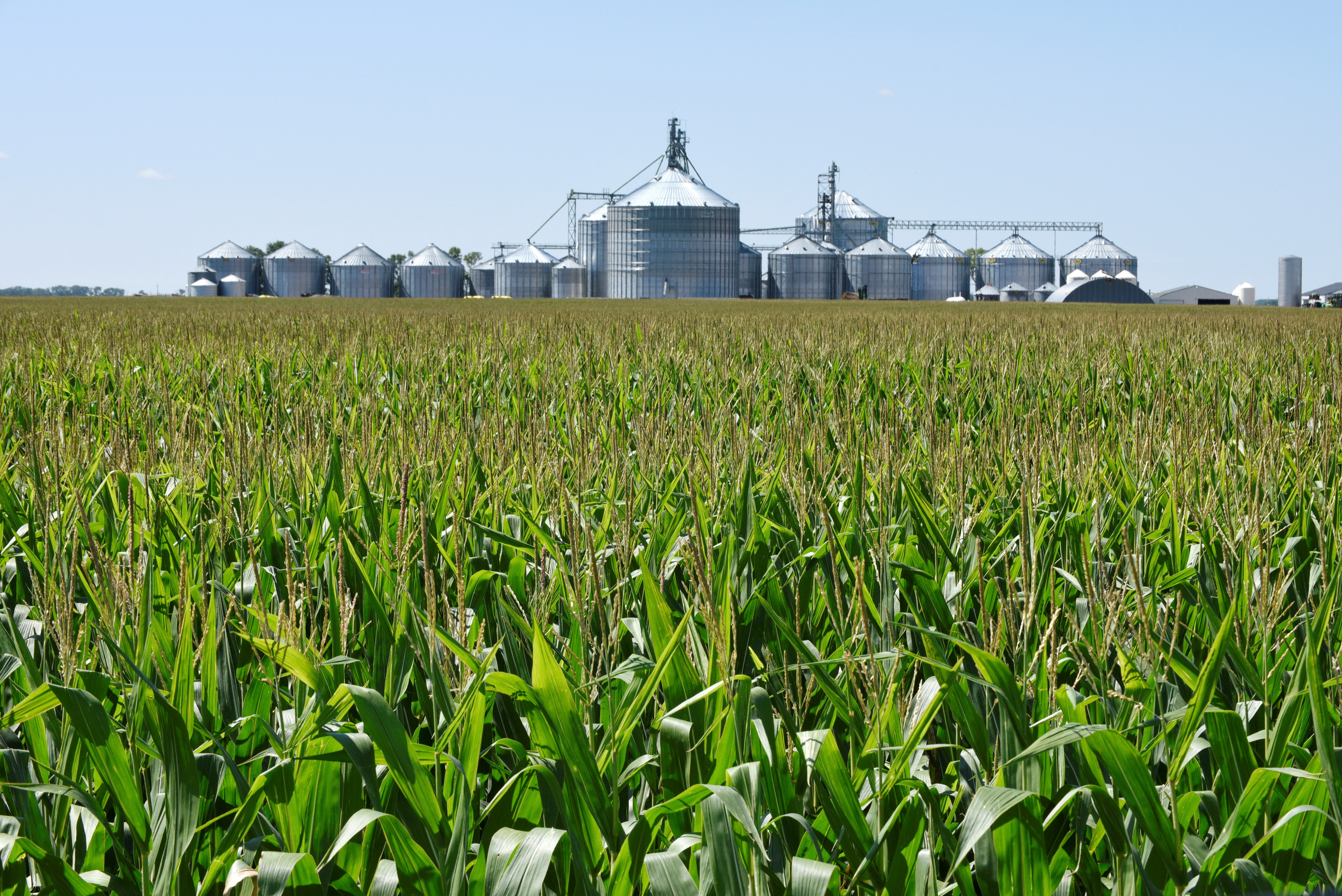 FILE PHOTO: A corn field and storage bins are seen on the Doug Zink farm near Carrington, North Dakota