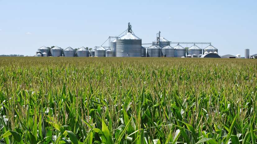 FILE PHOTO: A corn field and storage bins are seen on the Doug Zink farm near Carrington, North Dakota