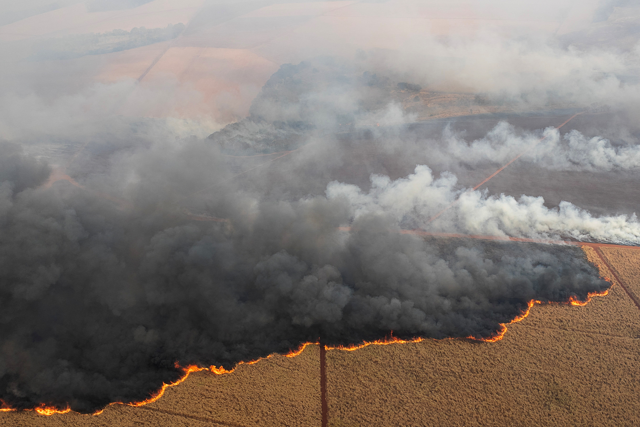 Wildfires affecting 30 cities in Brazil's Sao Paulo state