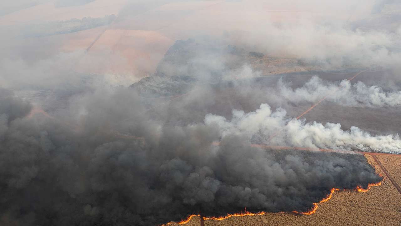 Wildfires affecting 30 cities in Brazil's Sao Paulo state