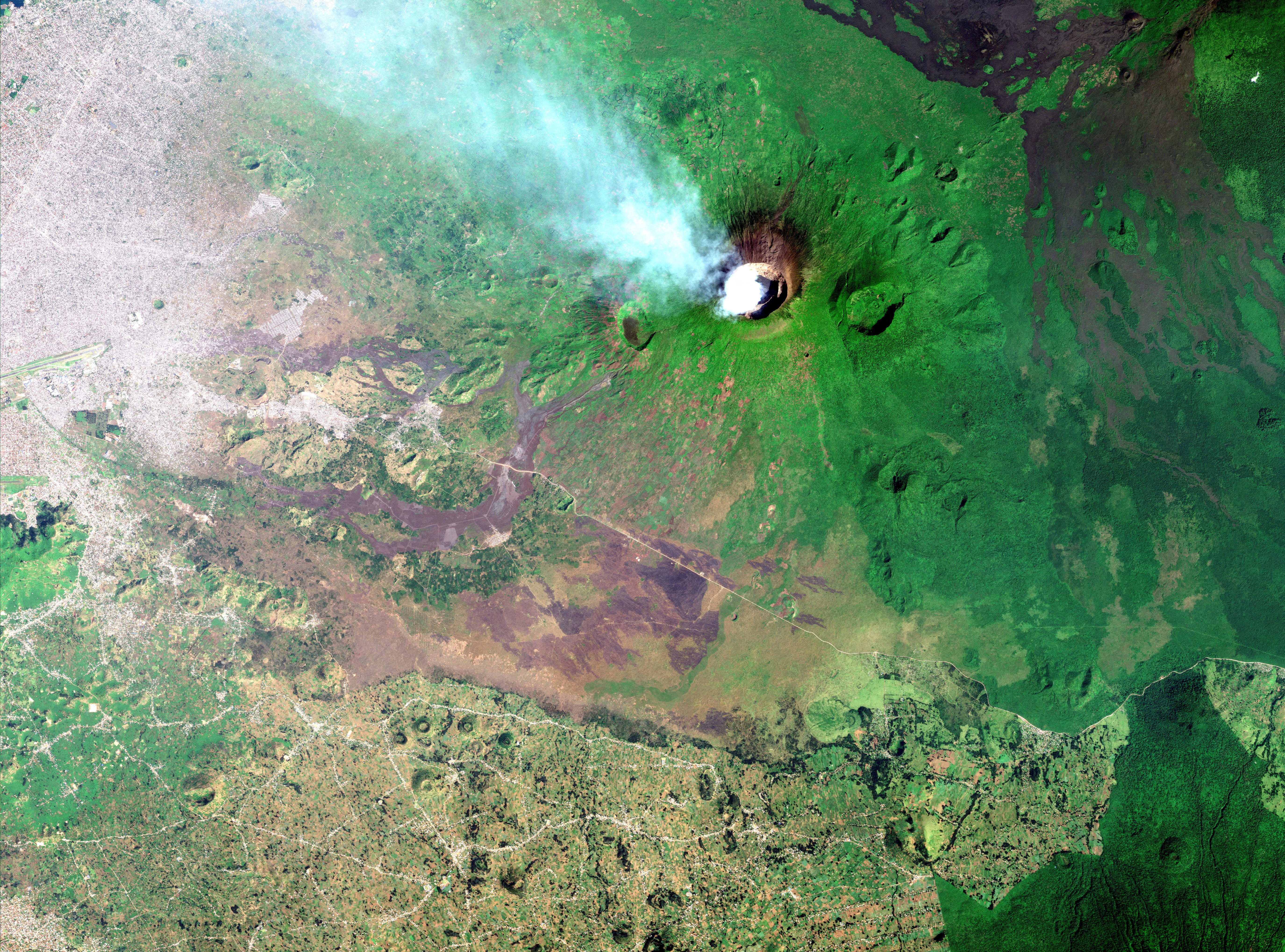 Planks and charcoal: DR Congo conflict fuels "unprecedented" forest loss