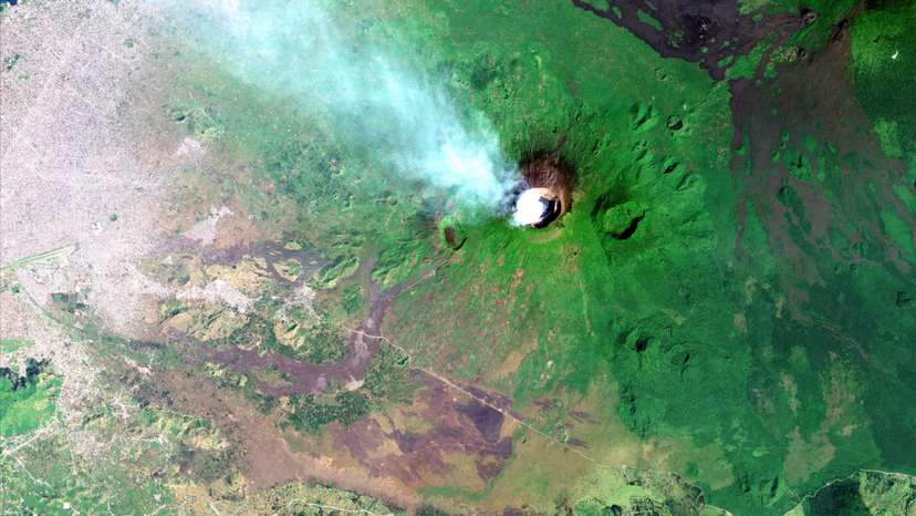 Planks and charcoal: DR Congo conflict fuels "unprecedented" forest loss