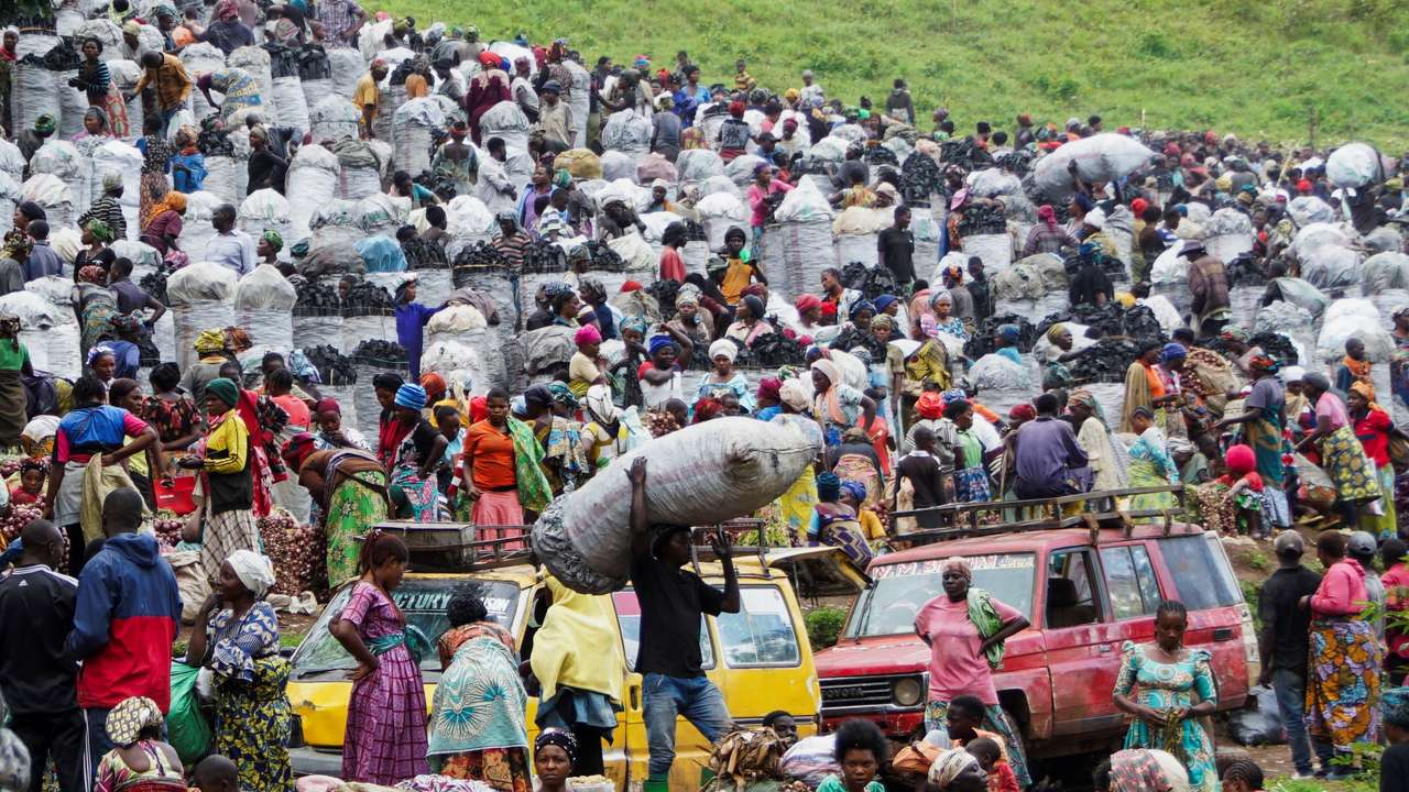 Congo conflict accelerates deforestation near protected park