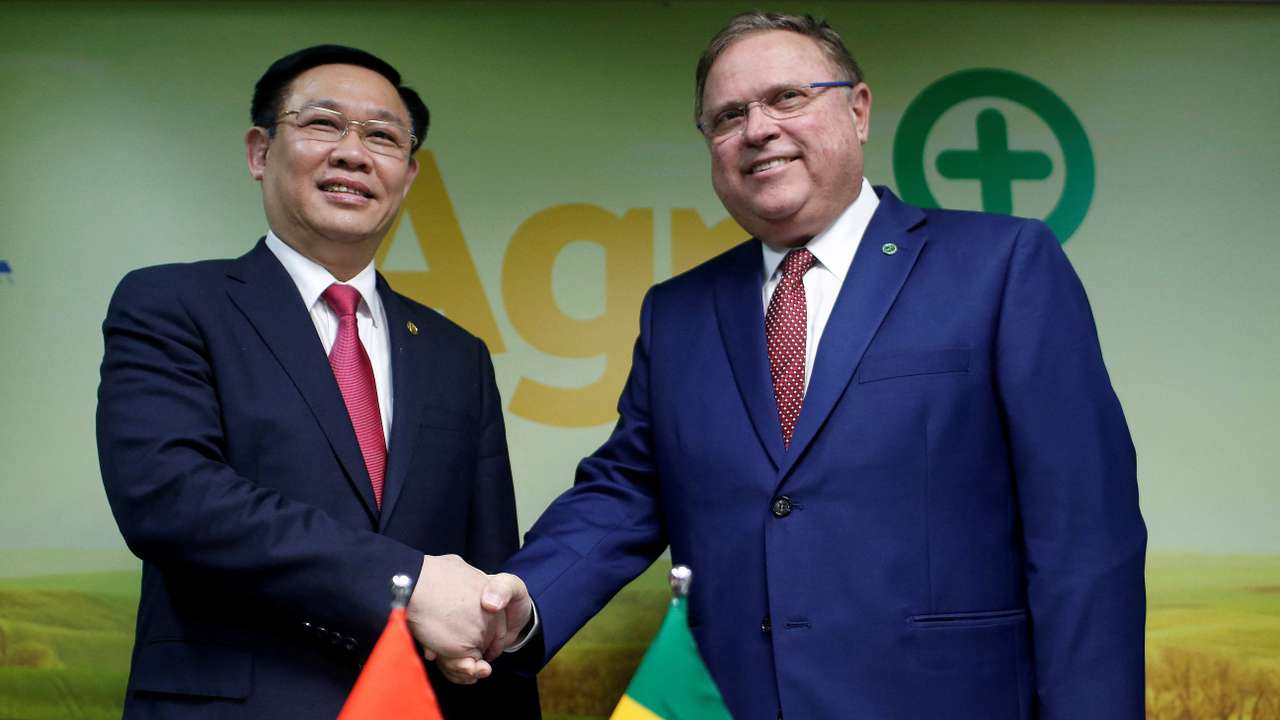 FILE PHOTO: Vietnam's Deputy Prime Minister Vuong Dinh Hue and Brazil's Agriculture Minister Blairo Maggi shake hands after a meeting in Brasilia