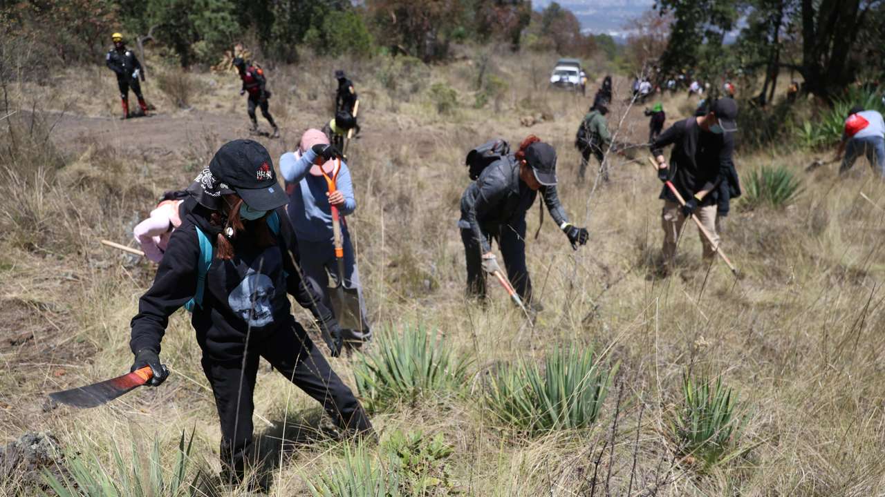 Mexico says 40,000 of country's 130,000 disappeared people may be alive