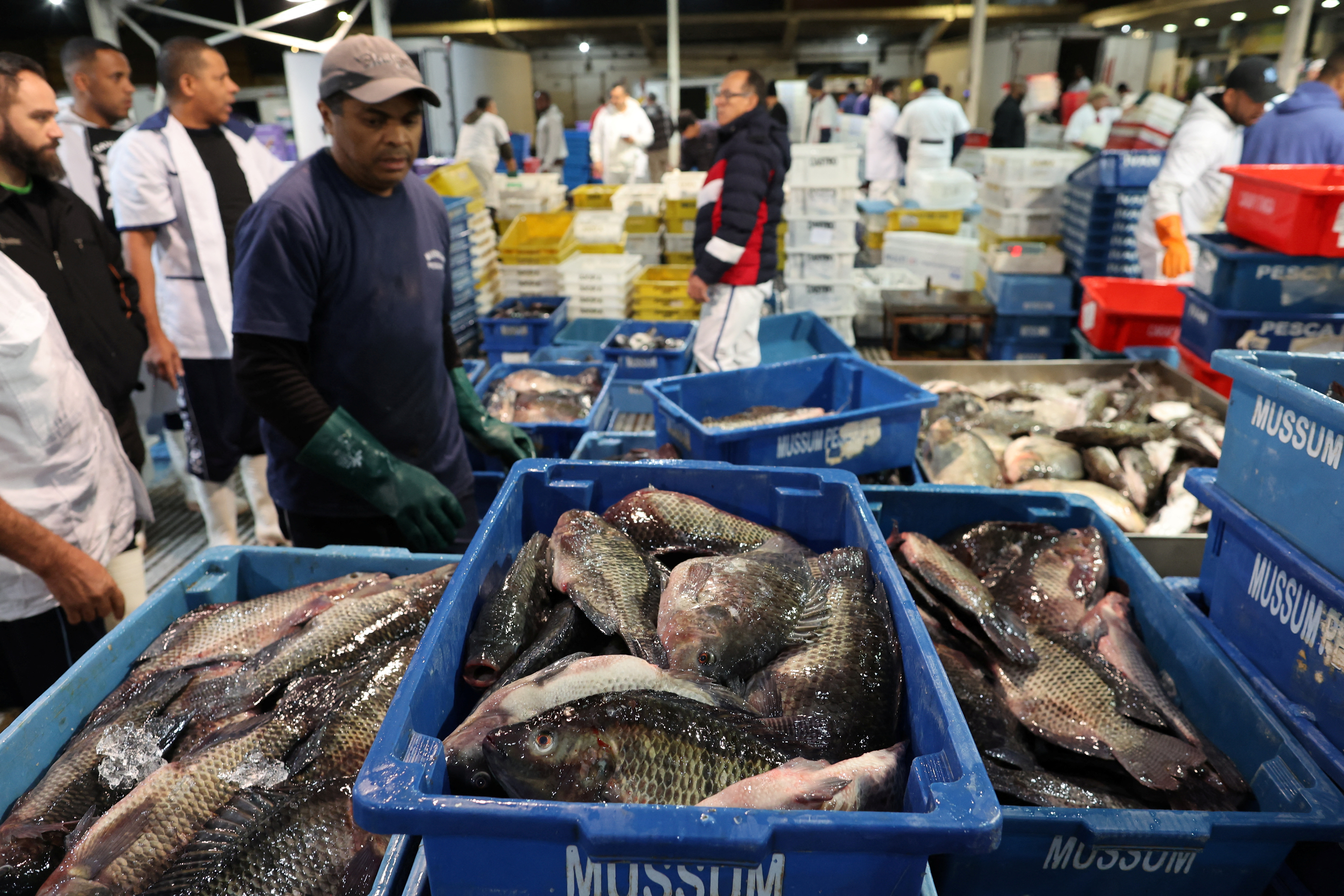 Fish distribution center in Sao Paulo, Brazil