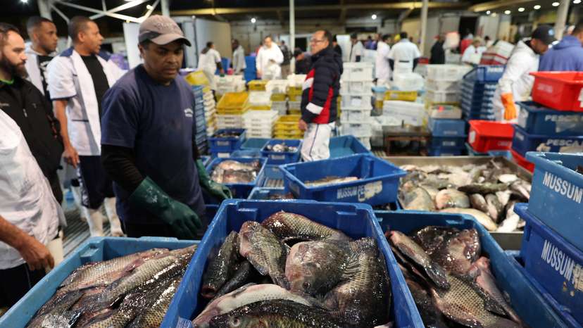 Fish distribution center in Sao Paulo, Brazil