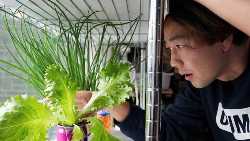 37-year-old YouTuber Kazuki Nakata looks at his indoor farm at his home in Kawasaki