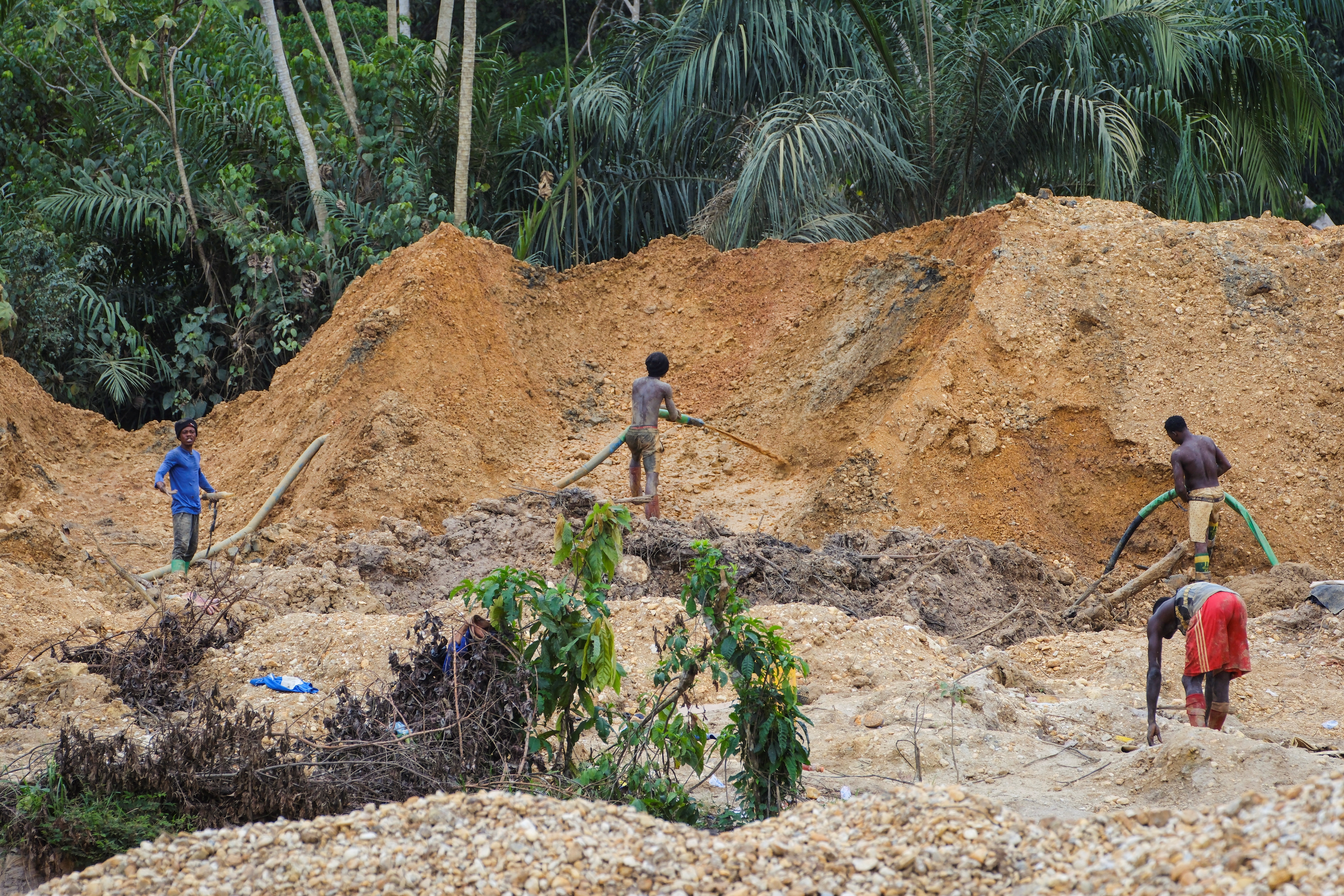 The Wider Image: Chocolate prices to keep rising as West Africa's cocoa crisis deepens