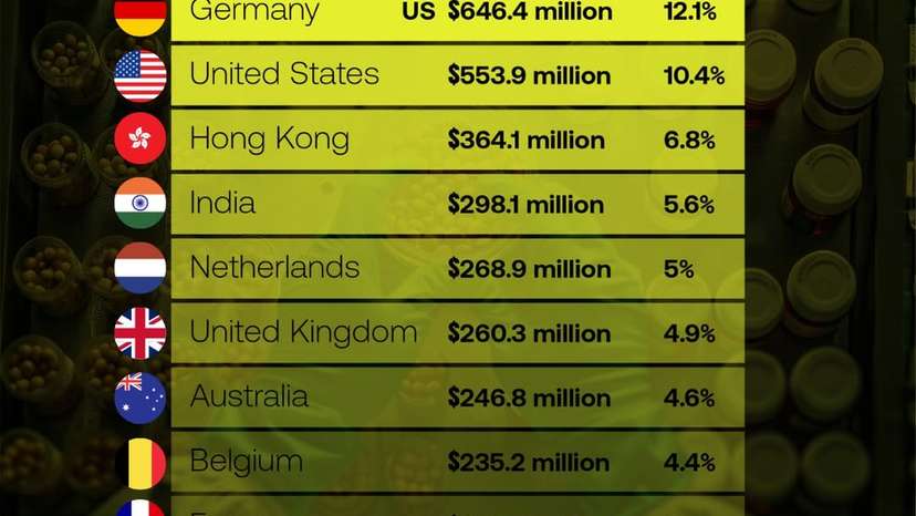 SnapInsta.to_611639574_17935567620119481_448208757231986831_n