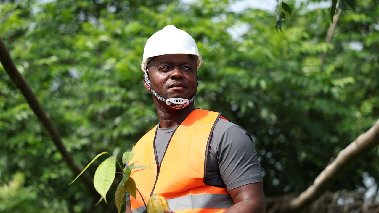 'Cocoa boys' flock to Nigerian farmlands, drawn by high prices