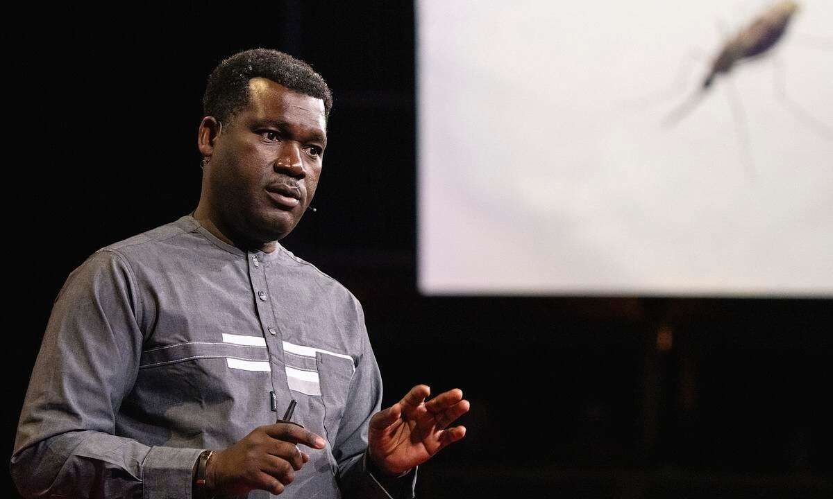 Prof Abdoulaye Diabaté Target Malaria