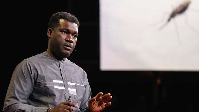 Prof Abdoulaye Diabaté Target Malaria