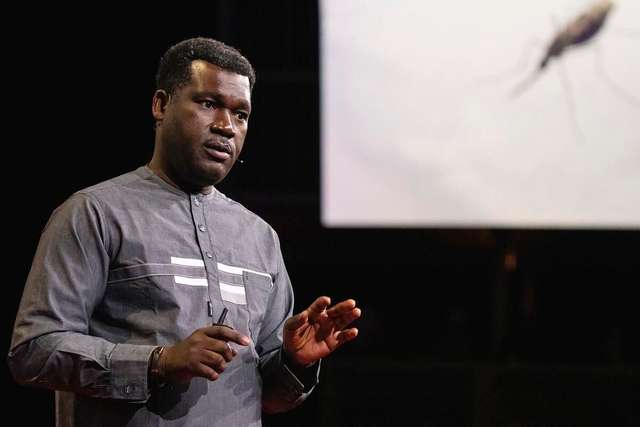 Prof Abdoulaye Diabaté Target Malaria