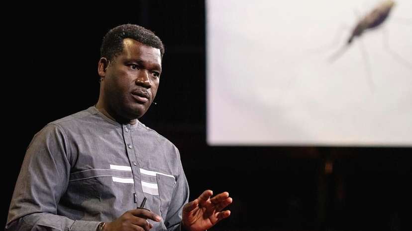 Prof Abdoulaye Diabaté Target Malaria