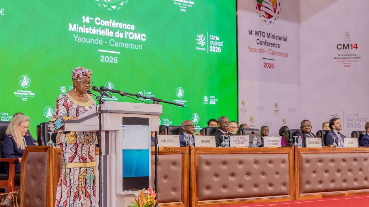 Opening of 14th WTO ministerial meeting in Cameroon