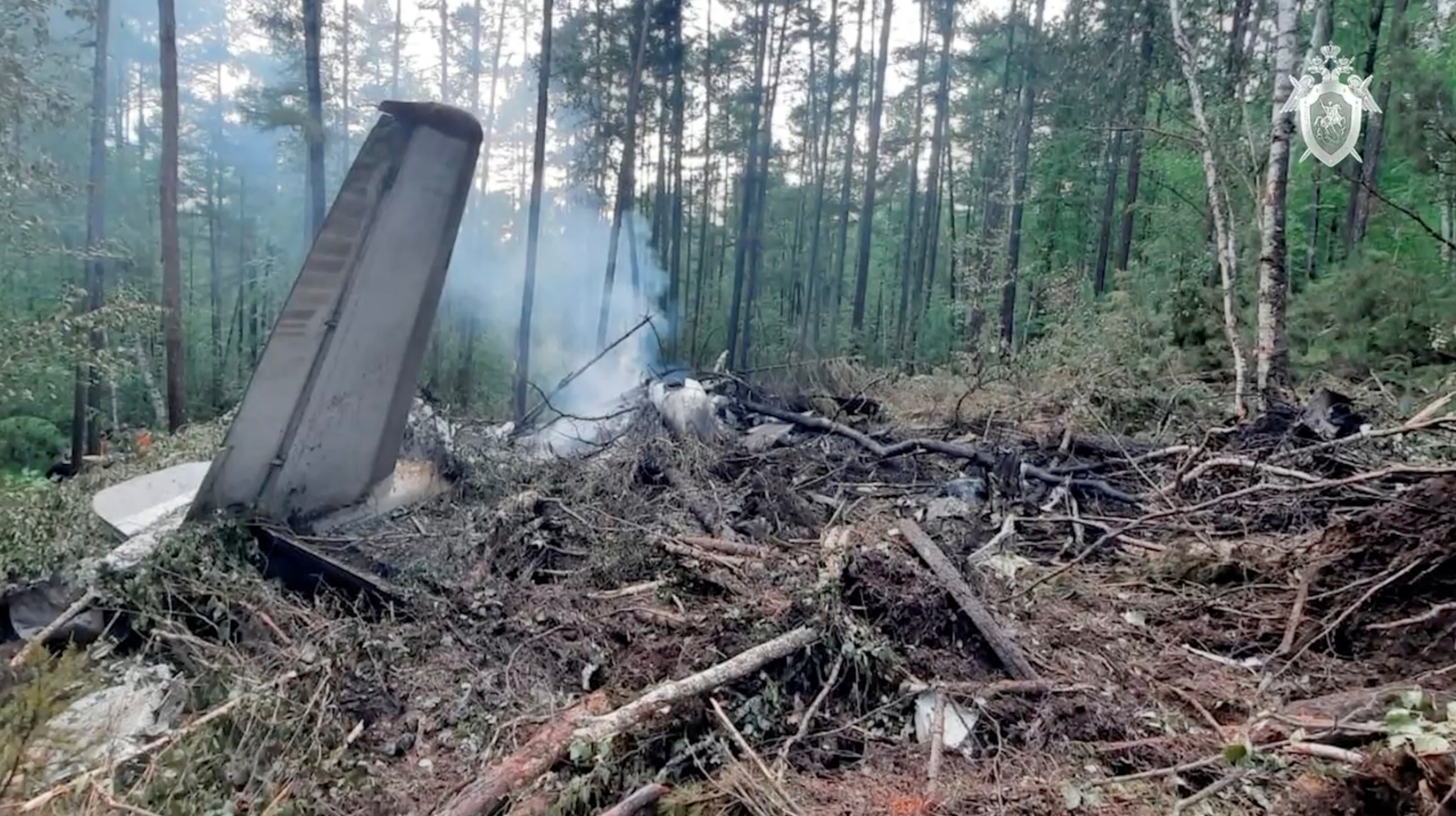 A view shows the debris of an Angara Airlines An-24 passenger aircraft at the crash site in the Amur Region