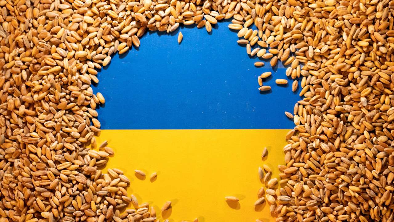FILE PHOTO: Illustration shows Ukrainian flag and grain