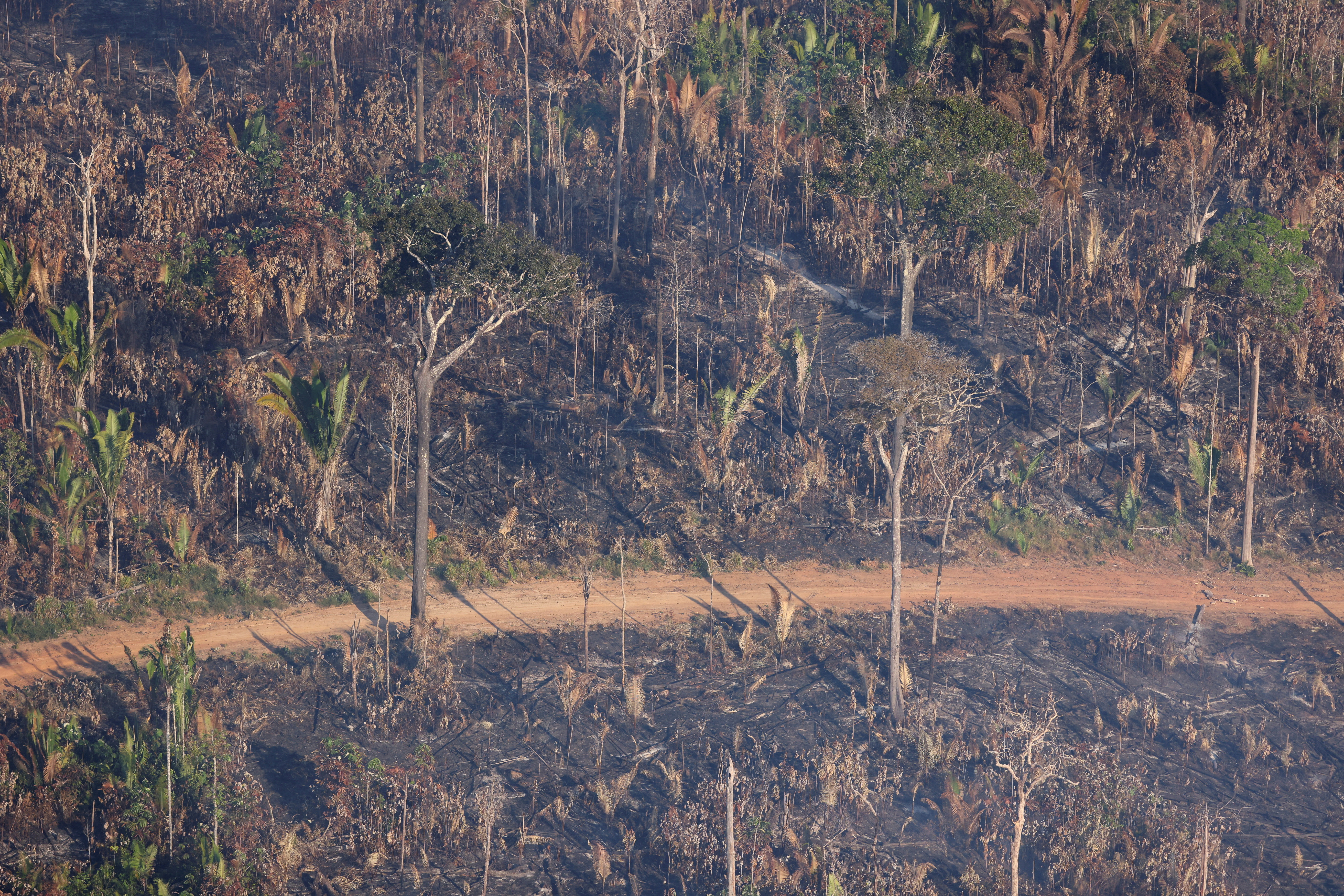 Experts boost Amazon monitoring as annual burning season picks up