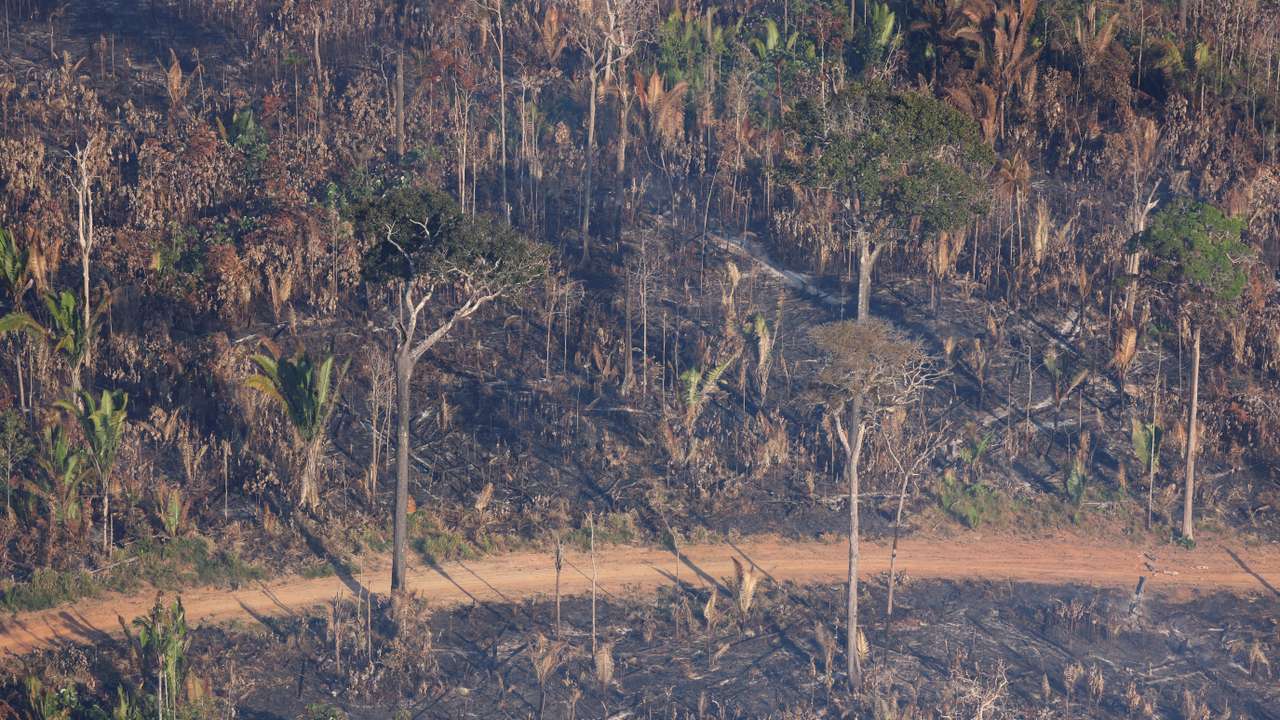 Experts boost Amazon monitoring as annual burning season picks up