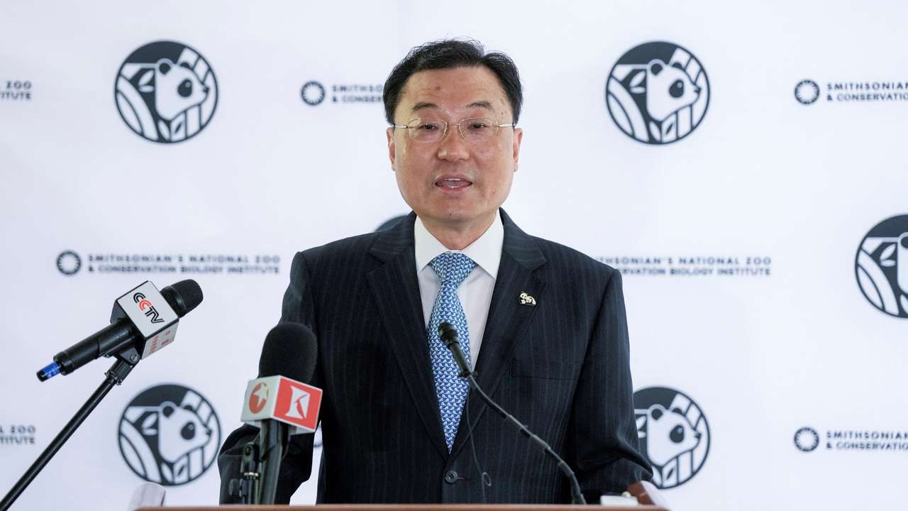 China's ambassador to the US Xie Feng says China will send two pandas to the US.