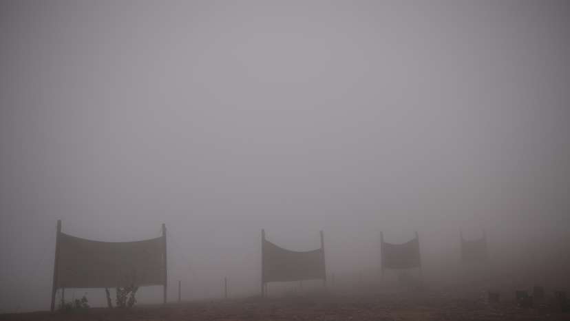 In Atacama, Chile's driest desert, lettuce is grown with fog water