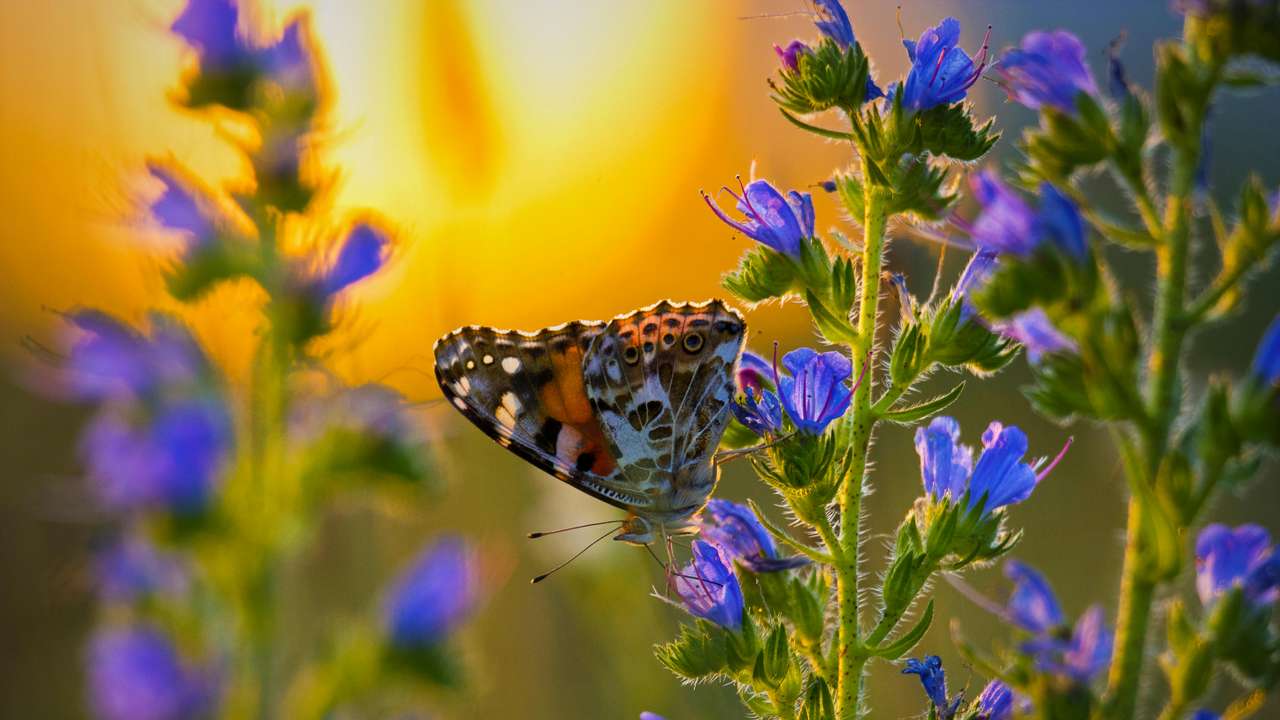 pexels-marian-strinoiu-4457434