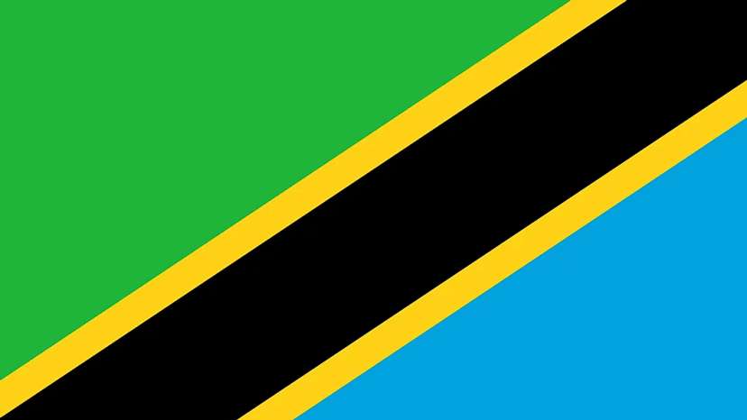 Tanzanian flag
