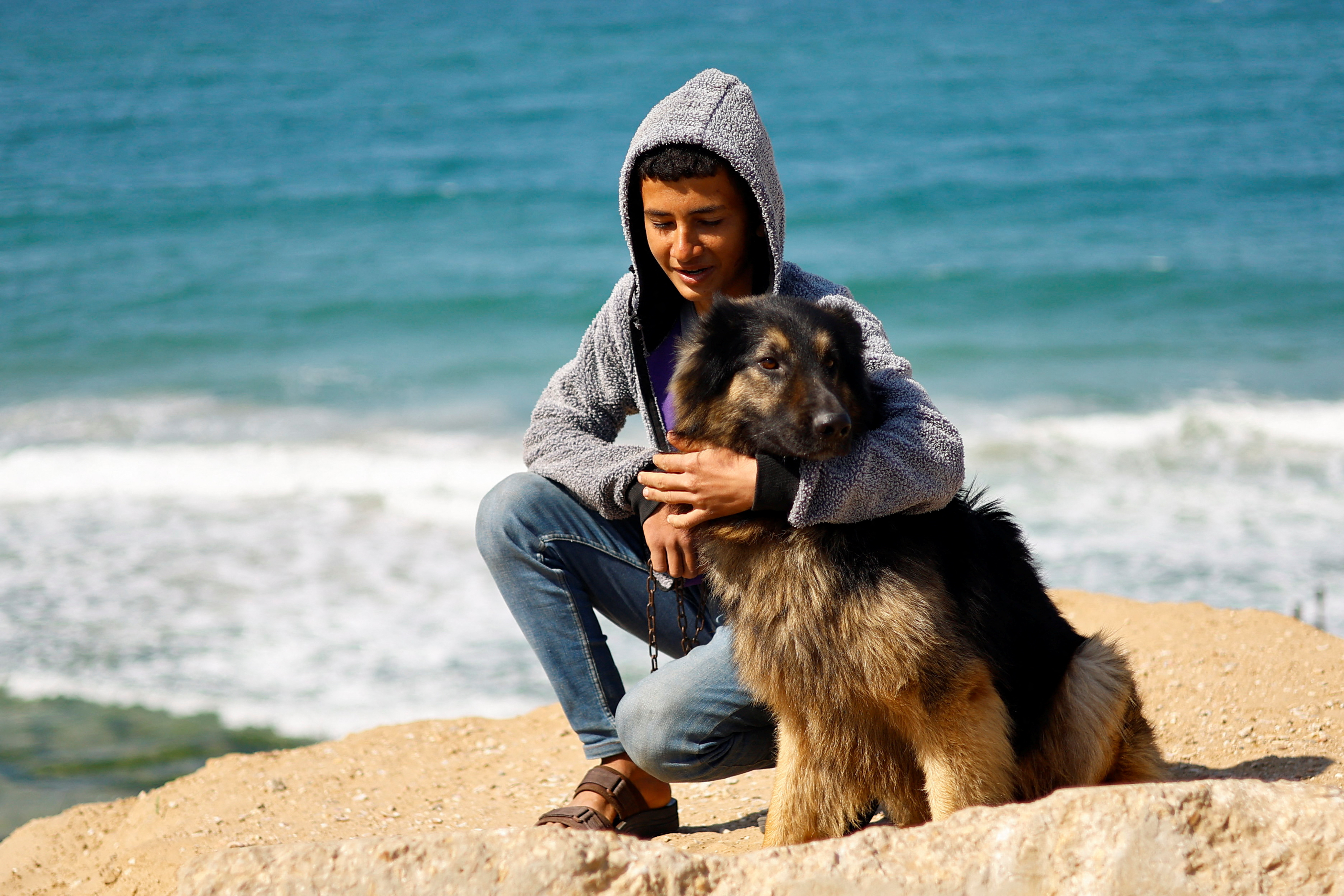 Gaza teenager struggles to look after his dogs in at a displacement camp in Rafah