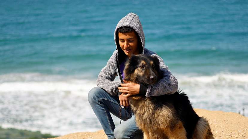 Gaza teenager struggles to look after his dogs in at a displacement camp in Rafah