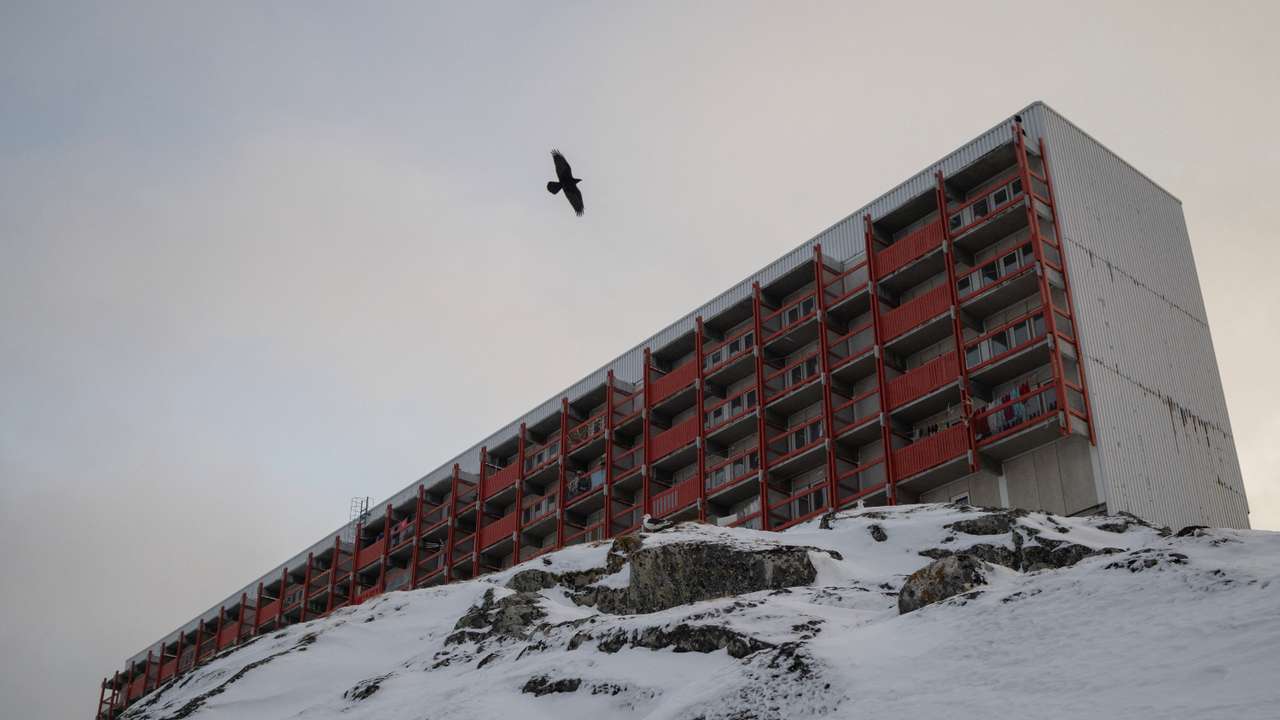 A bird flies past residential building near Nuuk's old harbour