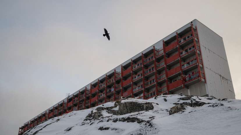 A bird flies past residential building near Nuuk's old harbour