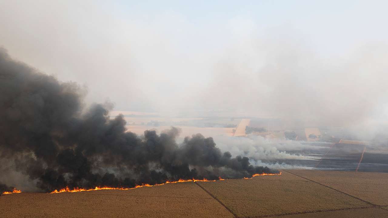 Wildfires affecting 30 cities in Brazil's Sao Paulo state